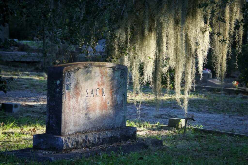 Best 9 Unusual Places to Visit in the USA 11 alla kemelmakher 5FkqYY e9Bs unsplash 1 Best 9 Unusual Places to Visit in the USA