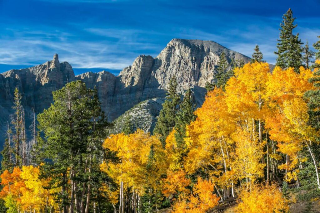 Autumn Foliage and Mountains — secret places in the USA Vibrant autumn foliage with mountains in the background, representing hidden gems in America. — secret places in the USA