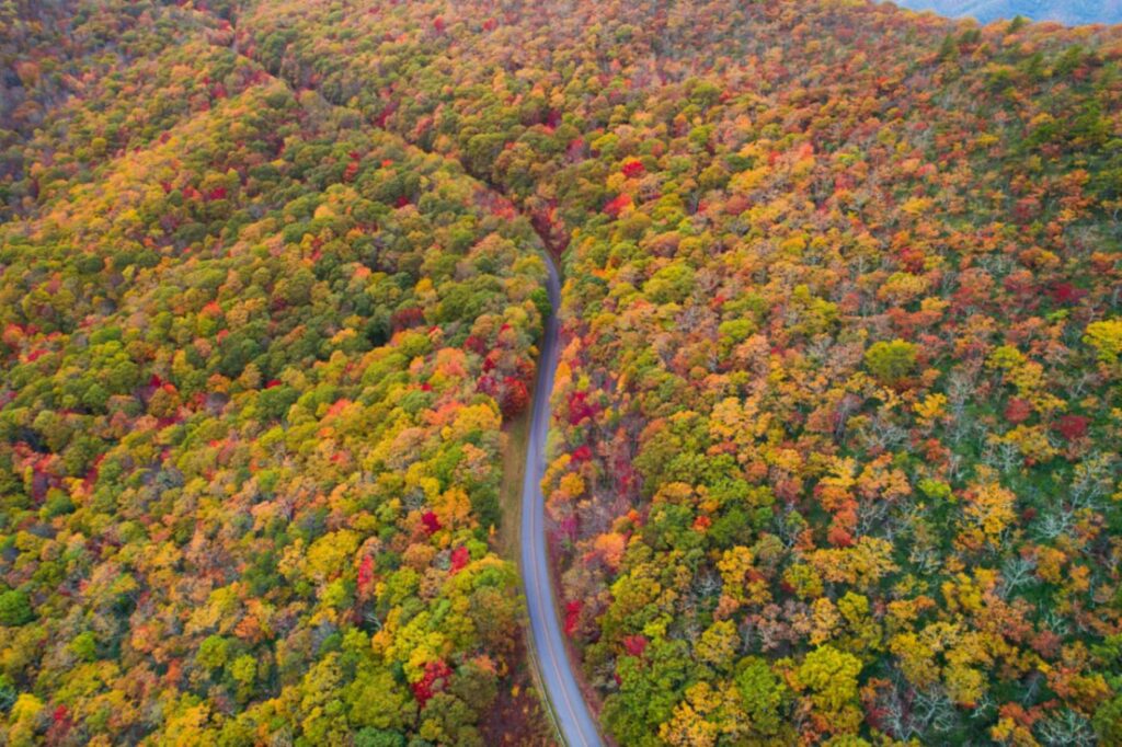 Blue Ridge Parkway Fall Colors — RV USA road trip routes Scenic view of the Blue Ridge Parkway during fall foliage. — RV USA road trip routes