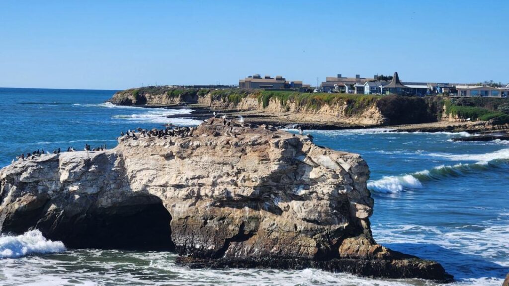Coastal Rock Formation with Birds — secret places in the USA Rock formation with birds by the ocean near a coastal town in the USA. — secret places in the USA