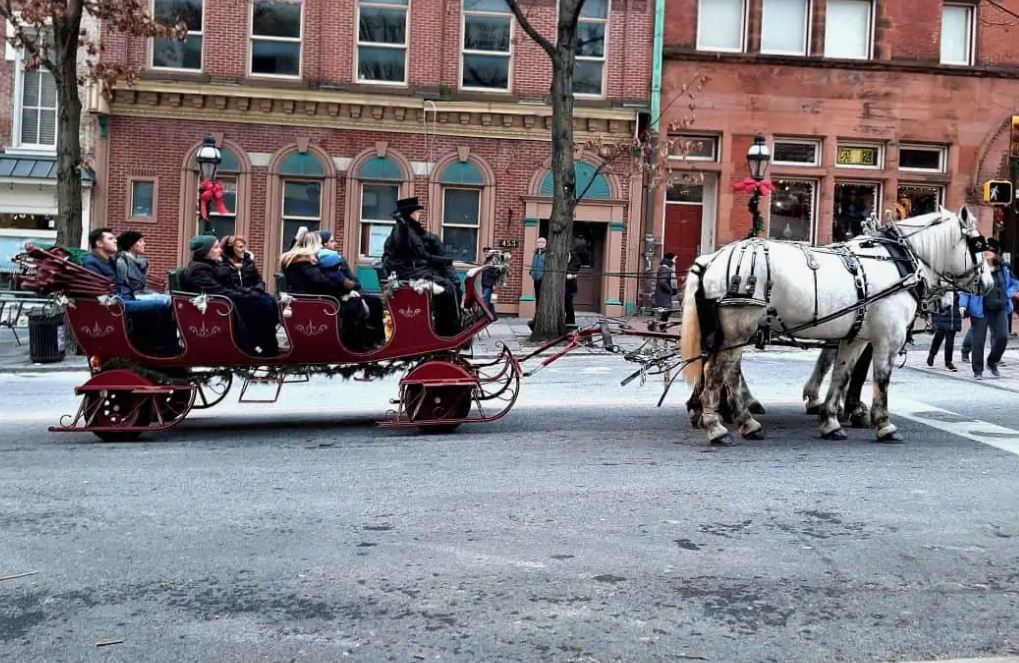 Horse-Drawn Carriage in Bethlehem — Christmas towns in the USA Horse-drawn carriage in Bethlehem, Pennsylvania during Christmas season — Christmas towns in the USA