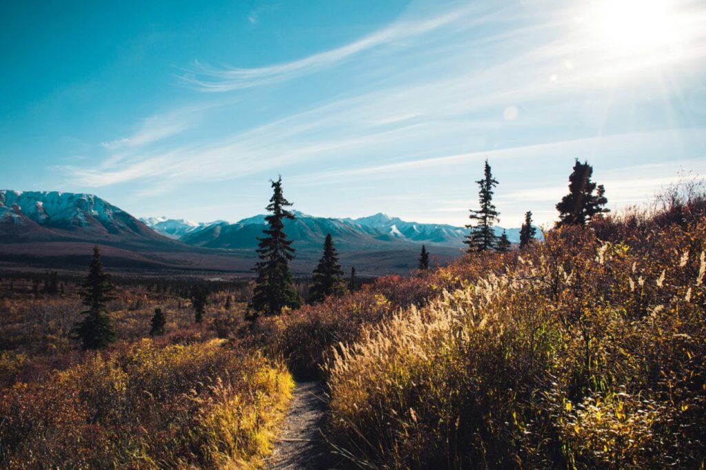 15 USA Bucket List Destinations to Visit Once 11 jacob vizek 2gfoozdnVP8 unsplash 1 15 USA Bucket List Destinations to Visit Once