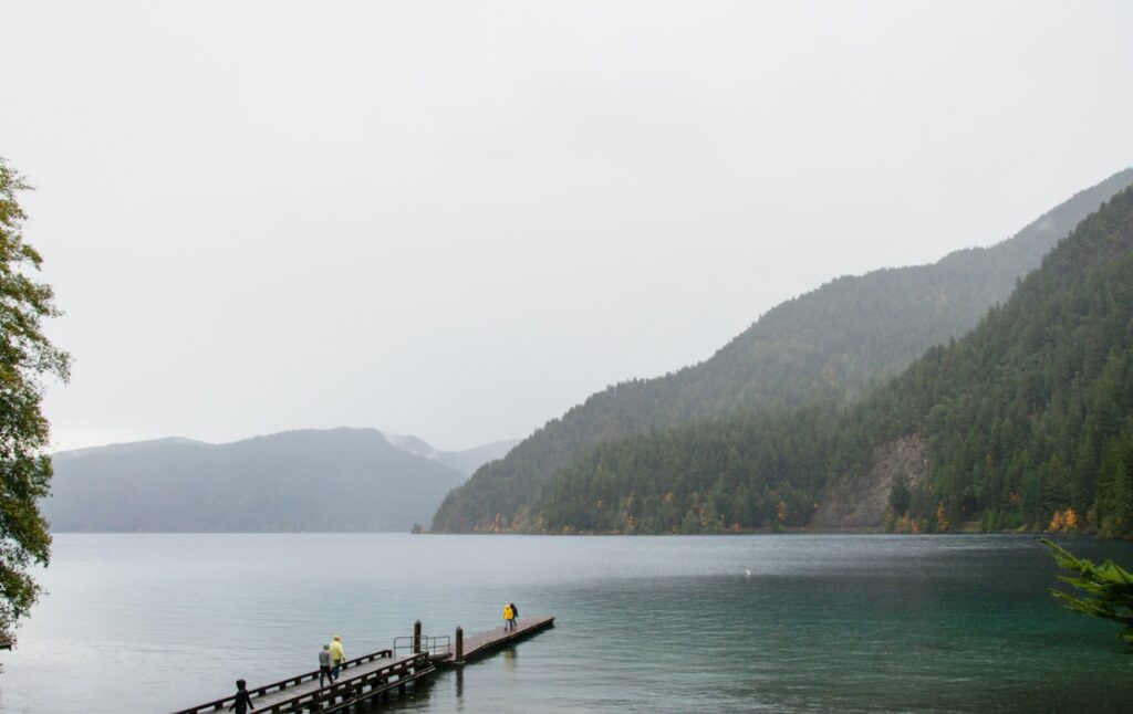 Lake Quinault Scenic View — RV USA road trip routes Scenic view of Lake Quinault in Olympic Peninsula, Washington. — RV USA road trip routes