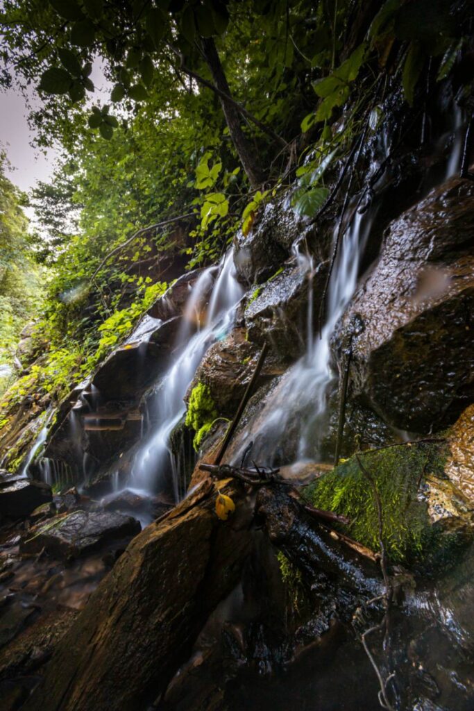 Oak Creek Canyon Waterfall — Sedona to Grand Canyon drive stops Water flowing over rocks in Oak Creek Canyon surrounded by greenery. — Sedona to Grand Canyon drive stops