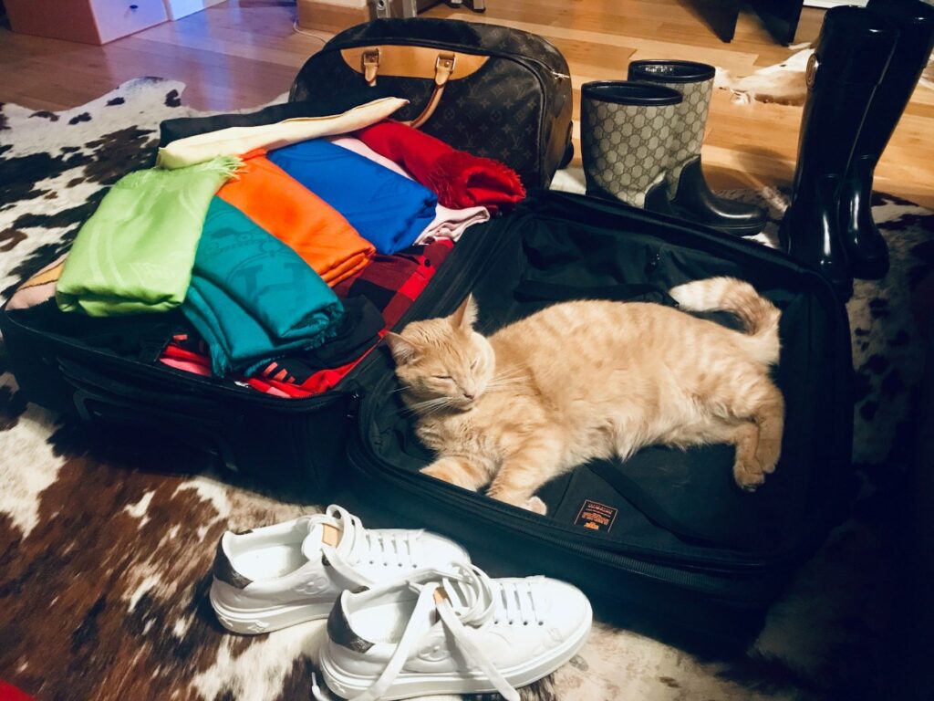 Alaska Cruise Packing Essentials — 7-day alaska cruise packing list 7-day alaska cruise packing list with clothing and shoes in suitcase