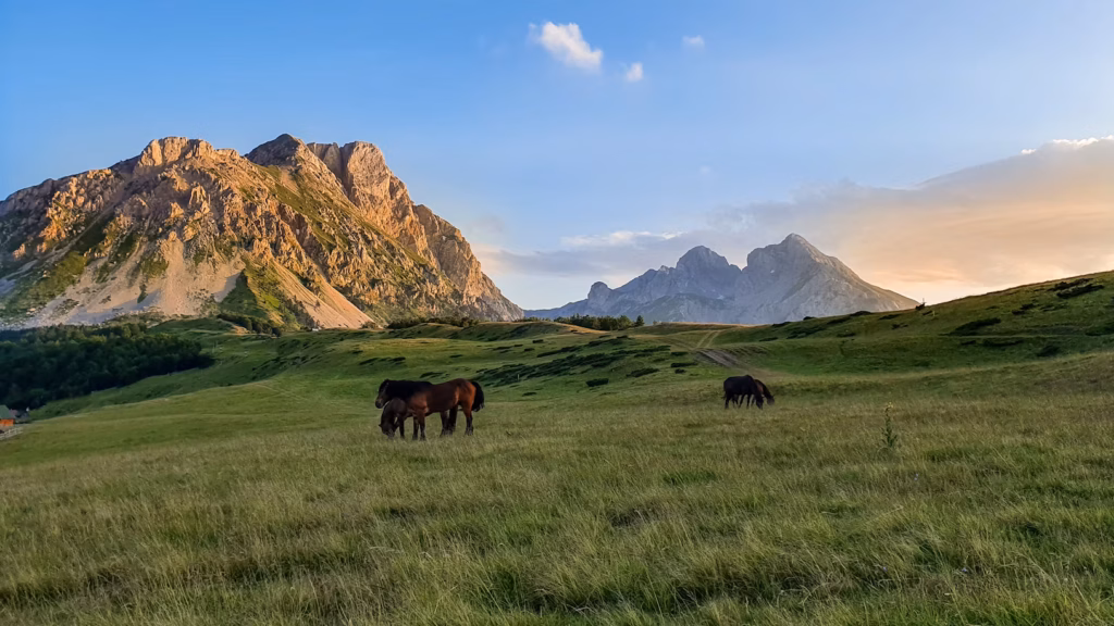 Montenegro Landscape — underrated countries to visit Montenegro landscape with mountains and horses grazing in a green field — underrated countries to visit