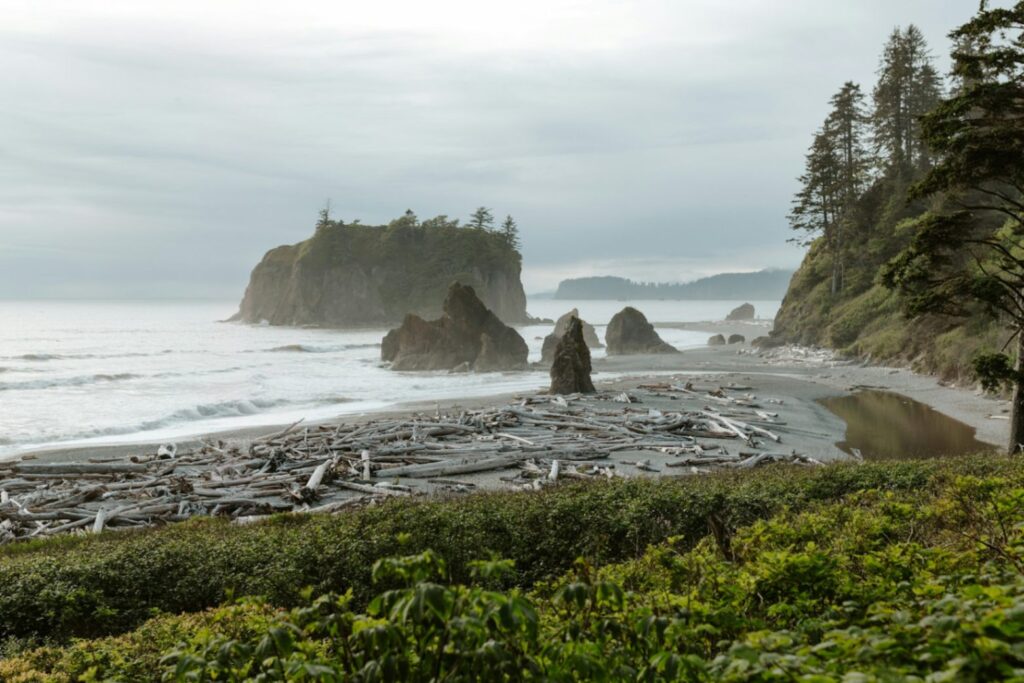 Olympic Peninsula Coastline — RV USA road trip routes Scenic view of the Pacific coastline with driftwood and rocky formations. — RV USA road trip routes