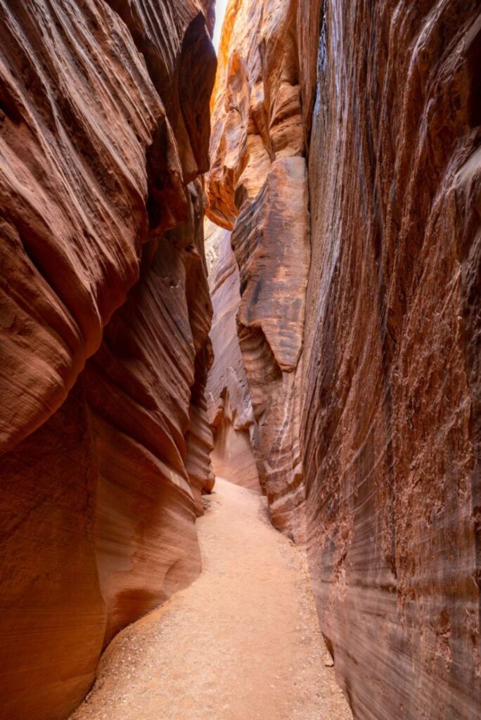 Best 9 Unusual Places to Visit in the USA 2 pexels balazsimon 17182292 1 Best 9 Unusual Places to Visit in the USA