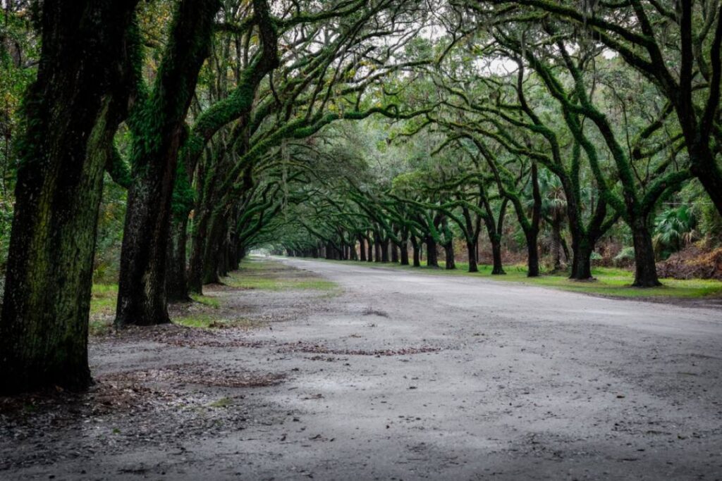 Best 9 Unusual Places to Visit in the USA 12 pexels connorscottmcmanus 29333207 1 Best 9 Unusual Places to Visit in the USA