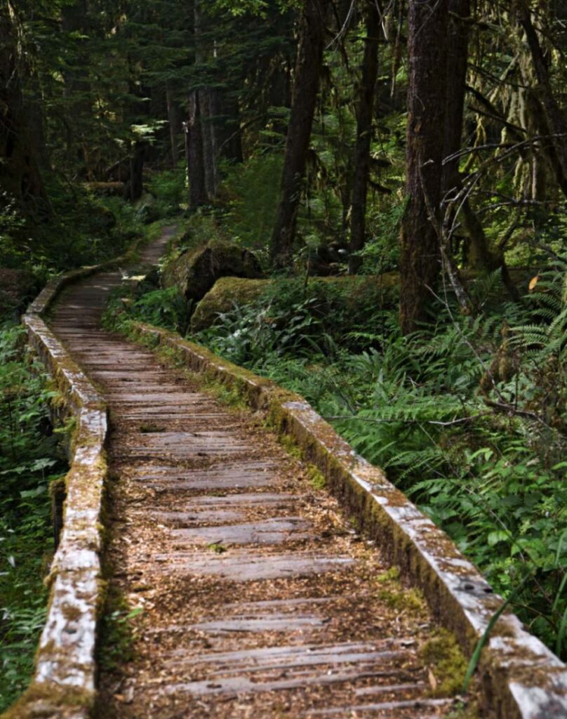 12 Best Nature Travel Destinations in the USA 11 pexels robert schrader 971509 7042968 1 12 Best Nature Travel Destinations in the USA