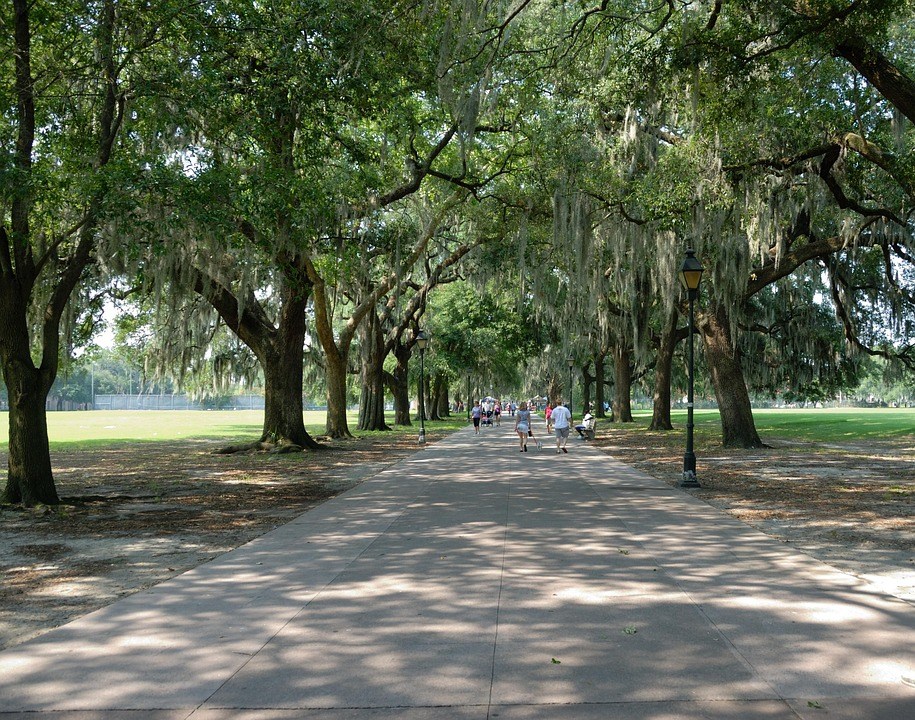 Savannah, Georgia — cheap places to travel in USA oak-lined path in Savannah, Georgia — cheap places to travel in USA