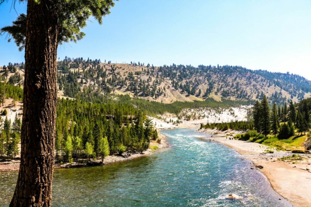 Yellowstone National Park River View — beautiful places in America to visit Beautiful river flowing through a lush green landscape in Yellowstone National Park. — beautiful places in America to visit