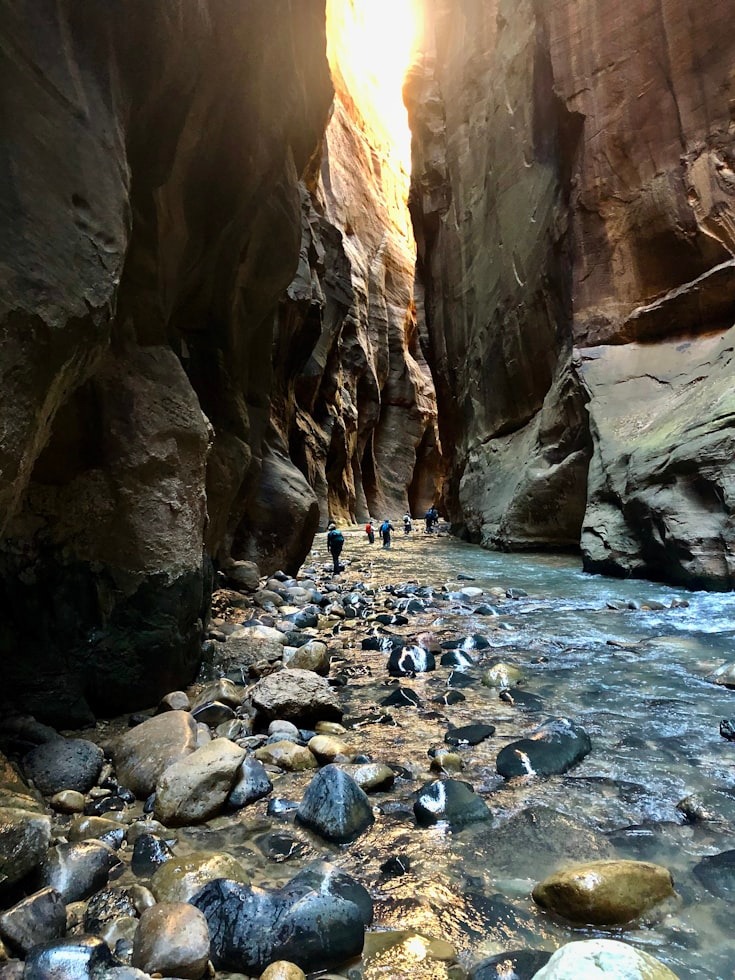 Zion National Park's The Narrows — Places to Visit in the Western USA Zion National Park's The Narrows with hikers in the canyon — Places to Visit in the Western USA